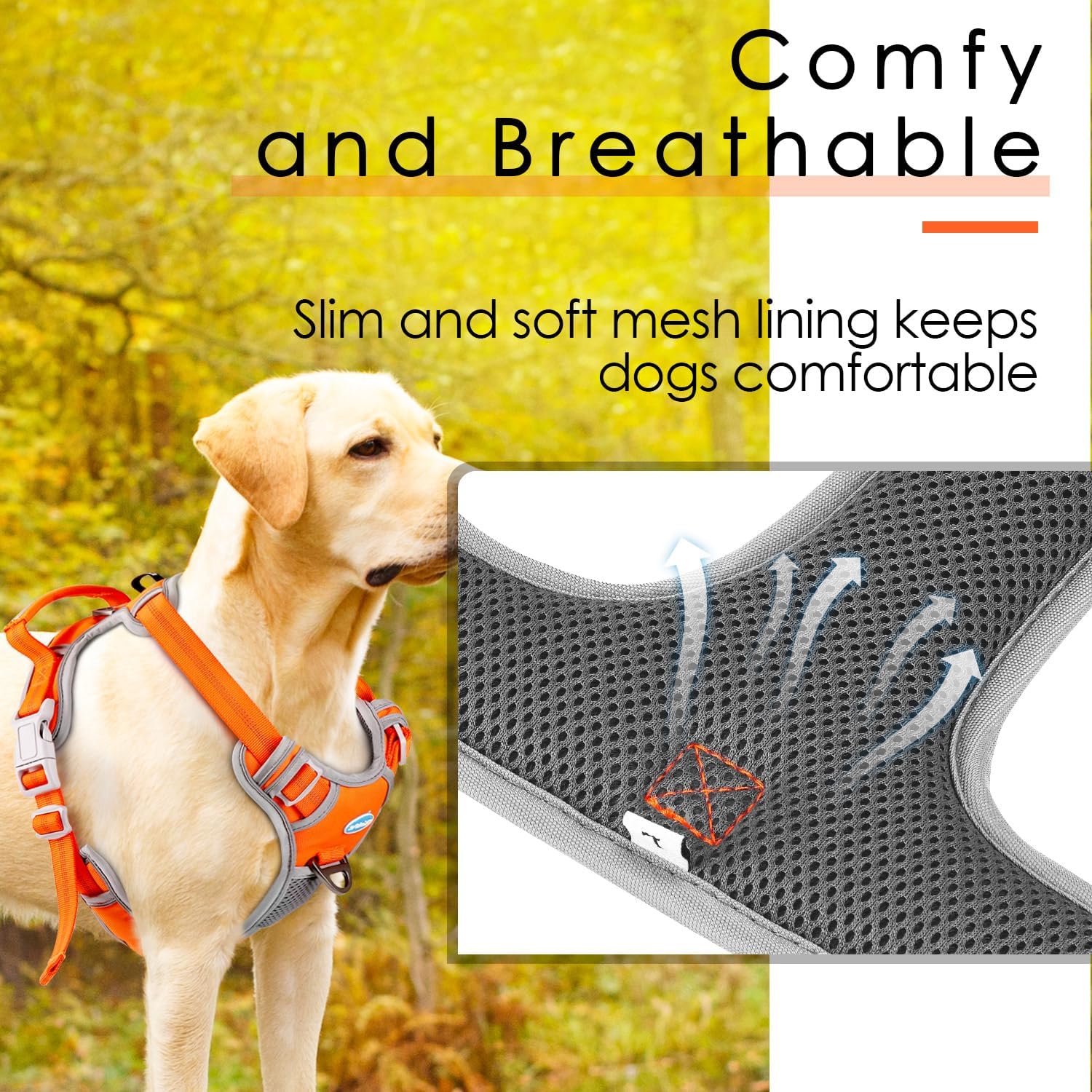 ThinkPet Arnés deportivo transpirable sin tirones con asa, chaleco de seguridad acolchado reflectante para perro con correa reflectante de neón para