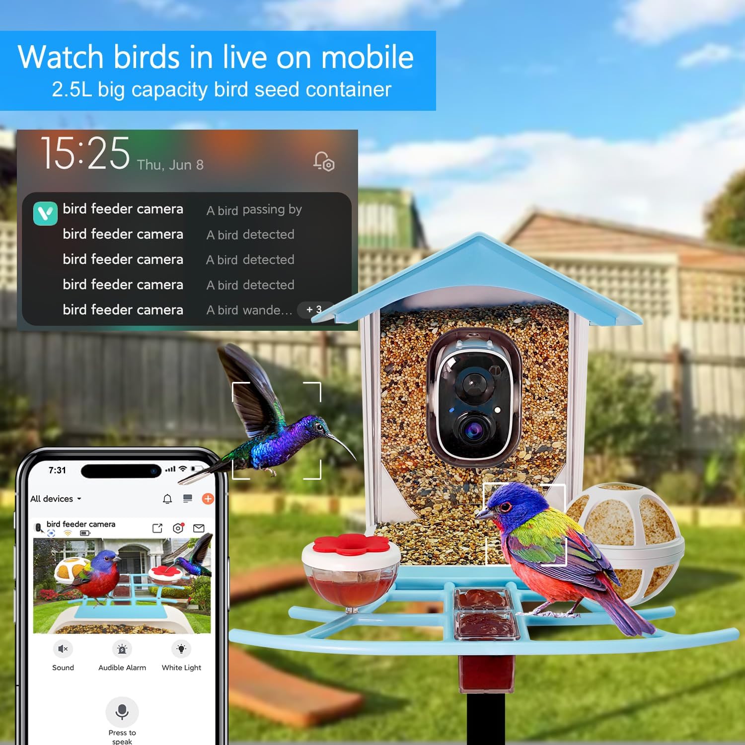 Comedero inteligente para pájaros con cámara alimentada por energía solar, video en vivo HD de 1080P y reproducción en teléfono, identificación AI