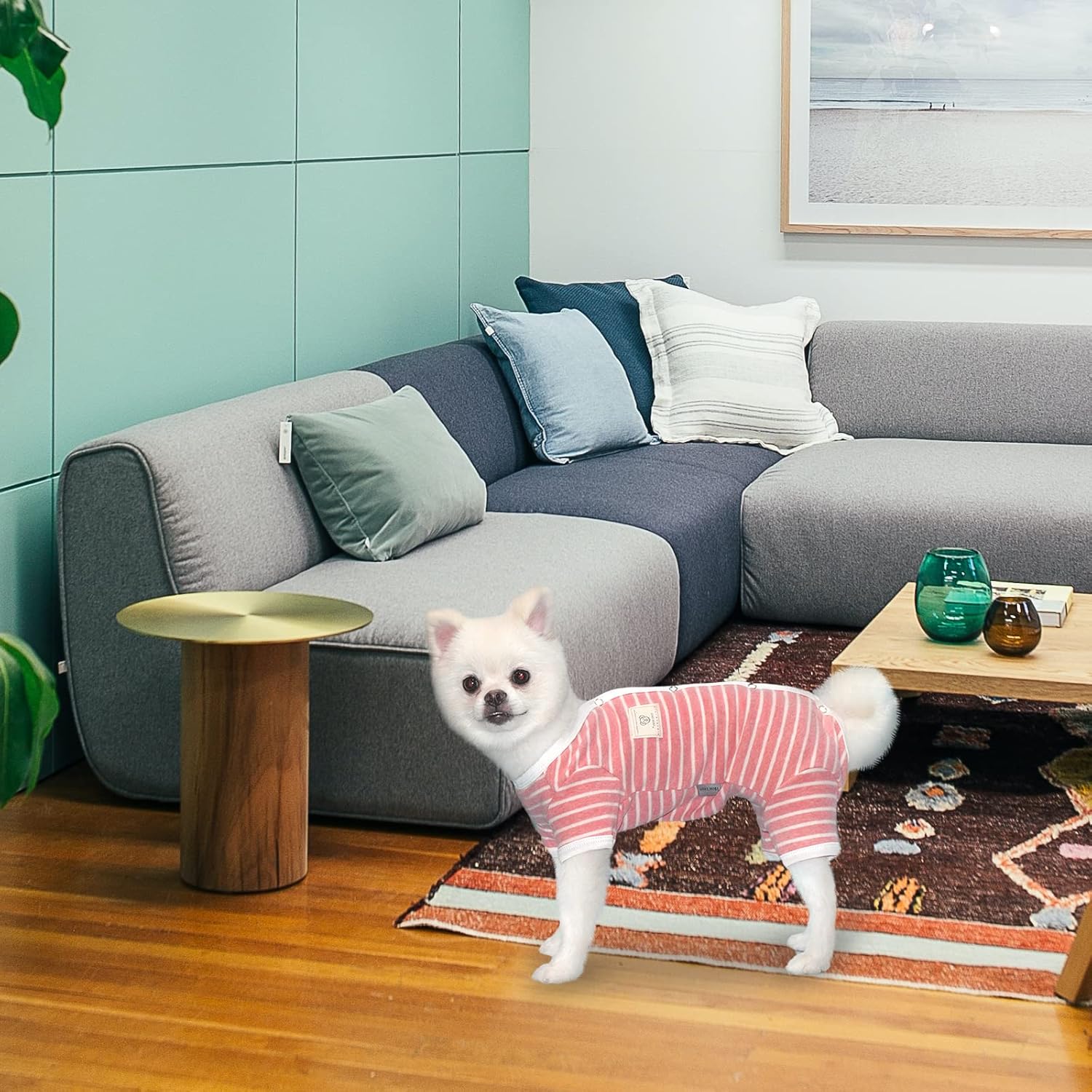 TONY HOBY Pijama de perro para mascotas, pijama de perro de 4 patas con rayas, ropa de algodón suave para recuperación de cirugía (XL, rosa + niña