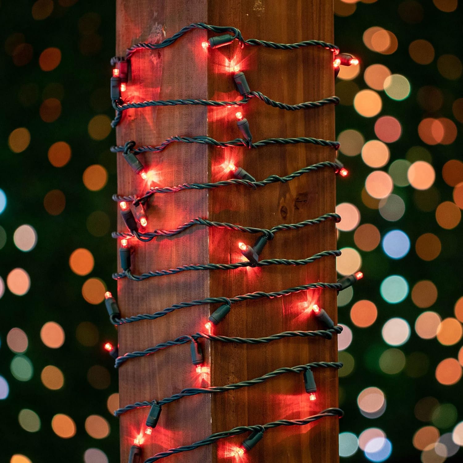 Novelty Lights Juego de 50 luces LED de Navidad, iluminación al aire libre, luces de fiesta para patio, rojo, cable verde, 25 pies