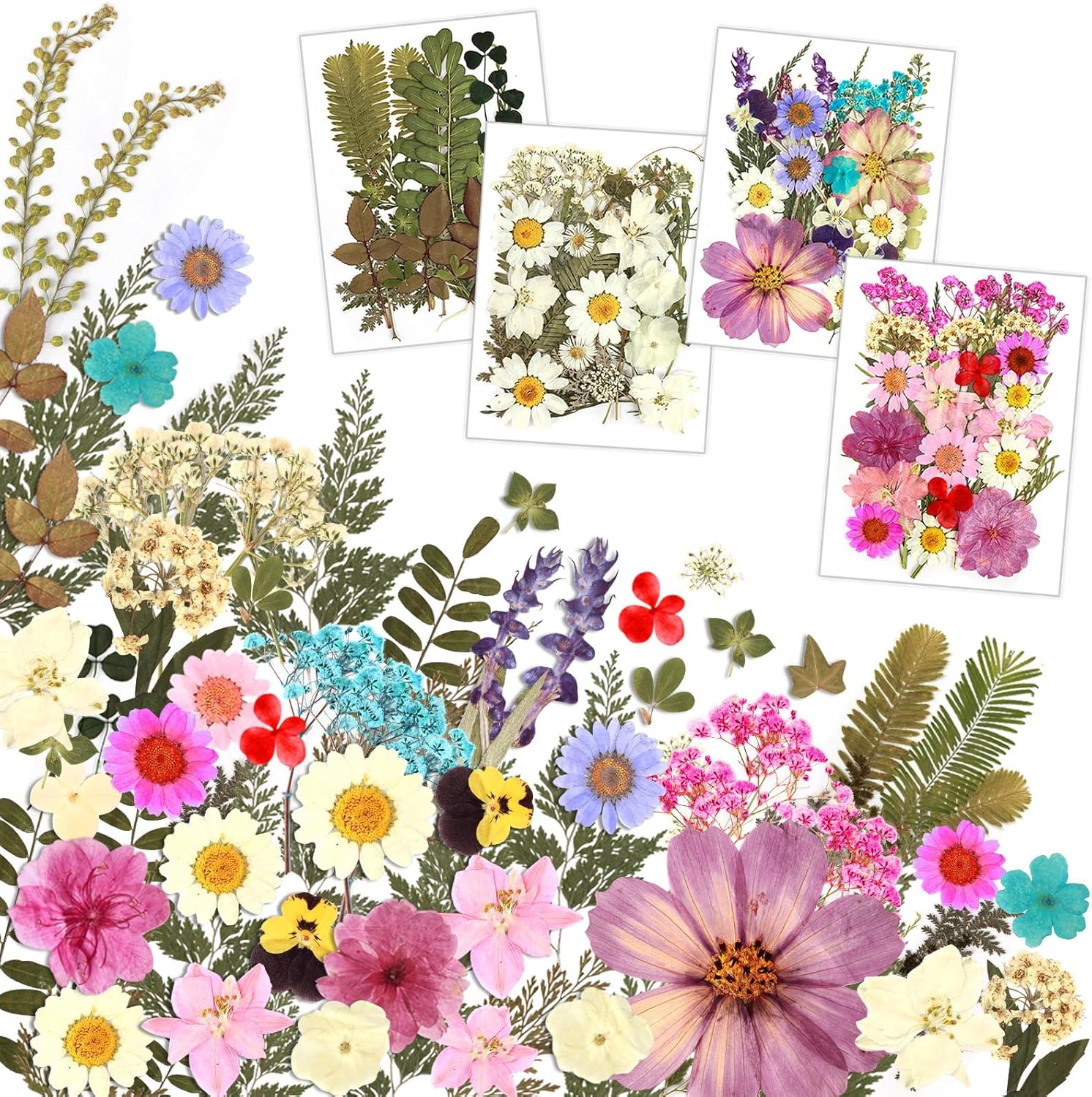 Resiners 100 flores secas prensadas para moldes de resina, flores prensadas reales, kit de hojas secas para manualidades, fabricación de joyas de