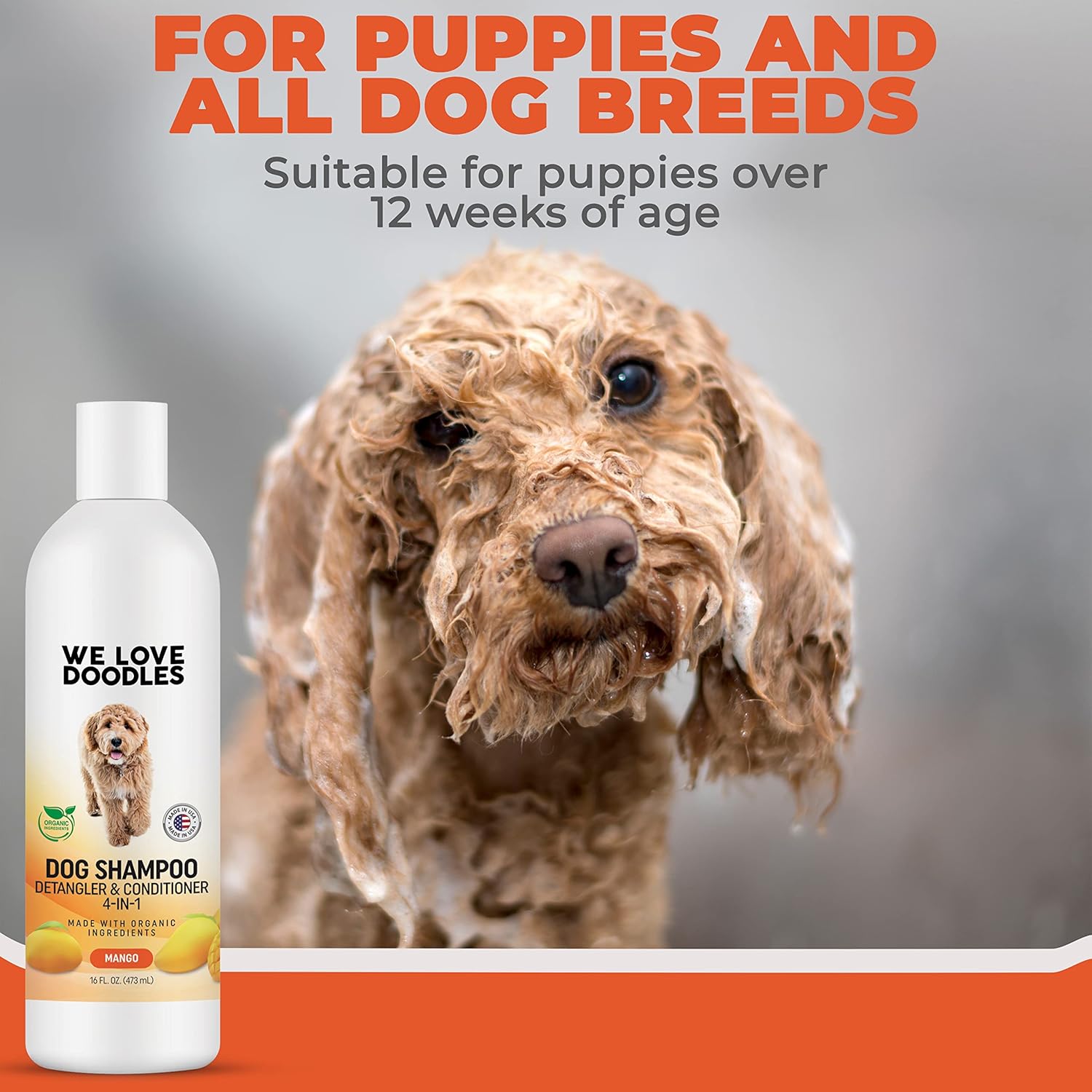 USDA – Champú orgánico para perros, acondicionador y desenredante – El mejor champú para Goldendoodles, caniches y garabatos – Champú para mascotas