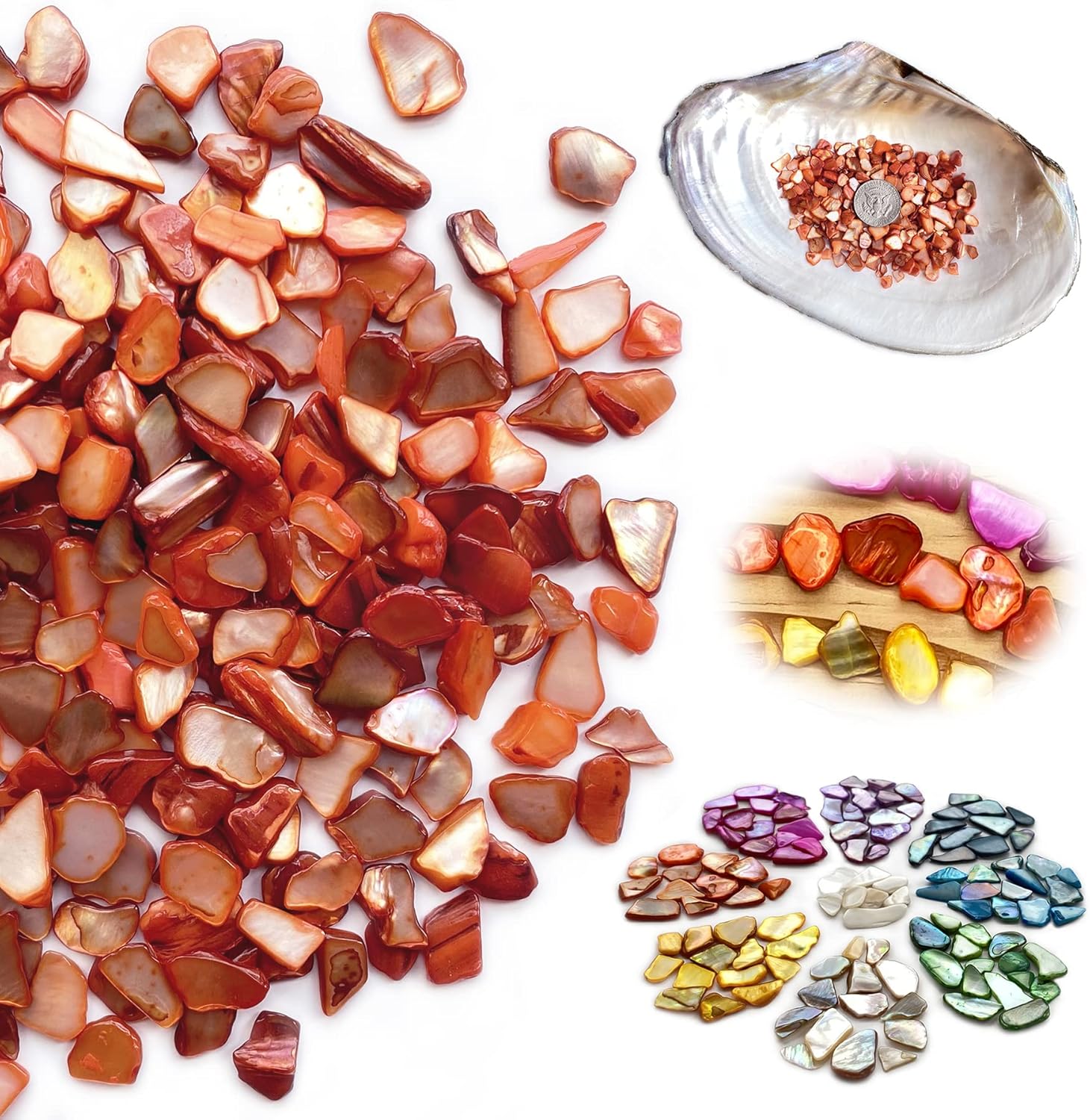 Yew & Tulip Chips de conchas trituradas naturales irregulares, mosaicos de conchas rojas y naranjas de 32 onzas, fragmentos de madreperla para