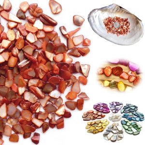 Yew & Tulip Chips de conchas trituradas naturales irregulares, mosaicos de conchas rojas y naranjas de 32 onzas, fragmentos de madreperla para Yew & Tulip Chips de conchas trituradas naturales irregulares, mosaicos de conchas rojas y naranjas de 32 onzas, fragmentos de madreperla para