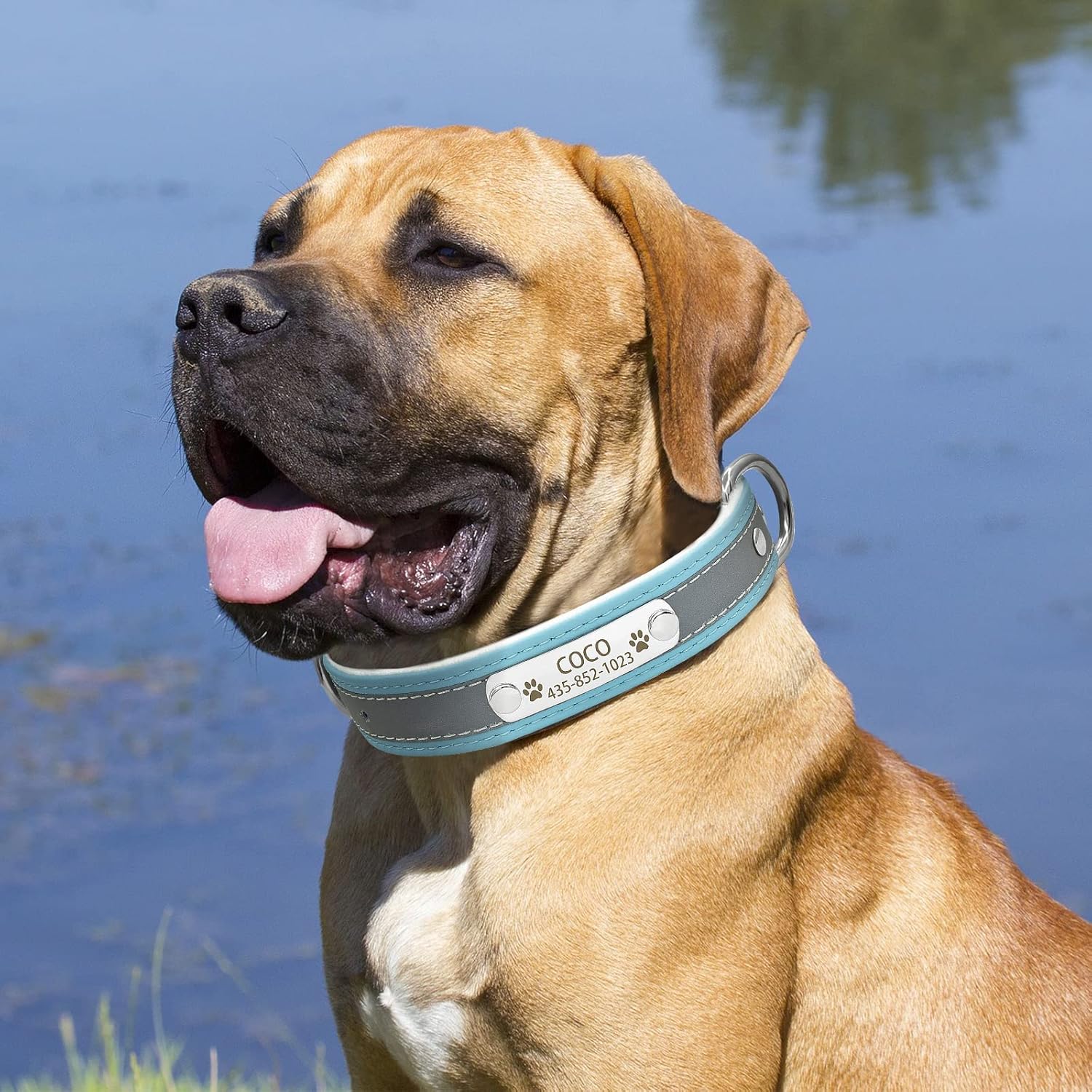 Juego de collar y correa reflectante personalizado para perro, collar de perro de cuero personalizado con placa de nombre, collares de perro