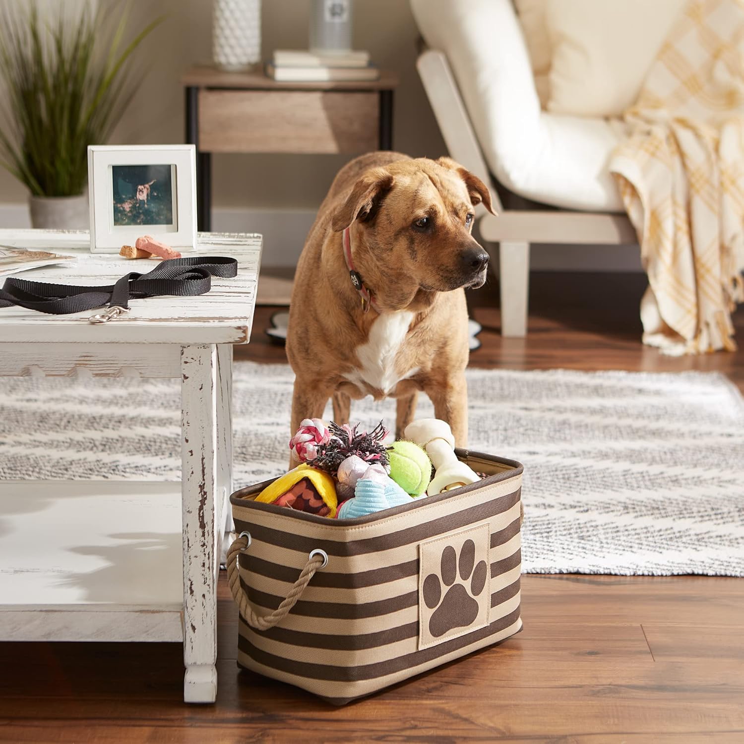Bone Dry – Colección de almacenamiento para mascotas, canasta a rayas con parche de huella de pata