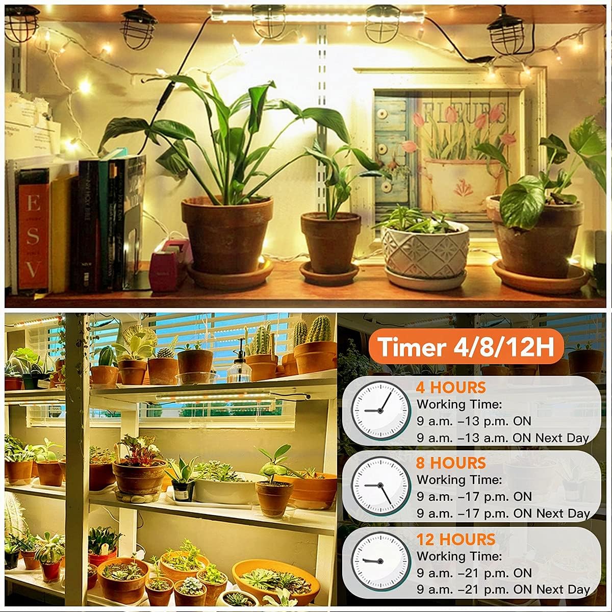 GooingTop Tira de luz LED de crecimiento, 3500 K, lámpara blanca de espectro completo para sembrar plantas de interior suculentas, temporizador de