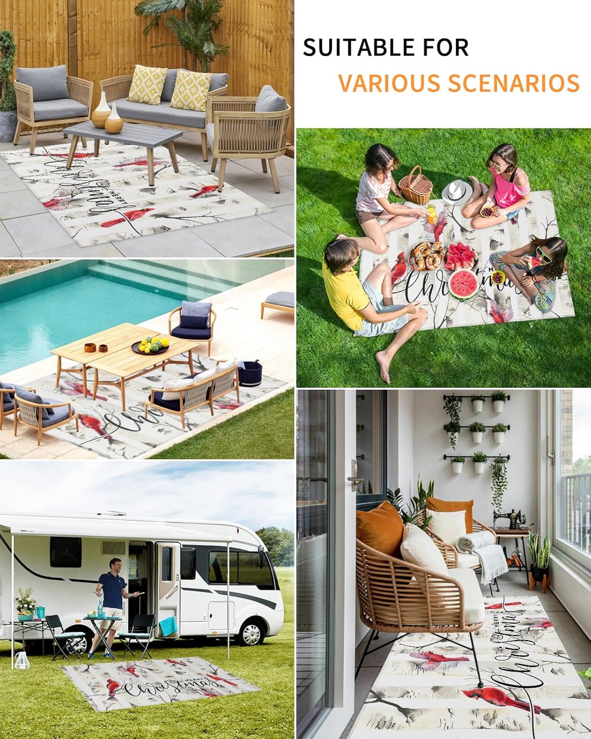 Outdoor Rug Carpet Waterproof 5×8 ft Area Rug, Christmas Birch Tree Branch Cardinal Bird Large Floor Mat for Patio Balcony Living Room Backyard