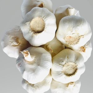 Ajo natural de Zade Elaphant blanco fresco extra grande 10 bulbos de ajo para especias y beneficios para la salud Plantar y cultivar el tuyo – Ajo natural de Zade Elaphant blanco fresco extra grande 10 bulbos de ajo para especias y beneficios para la salud Plantar y cultivar el tuyo –