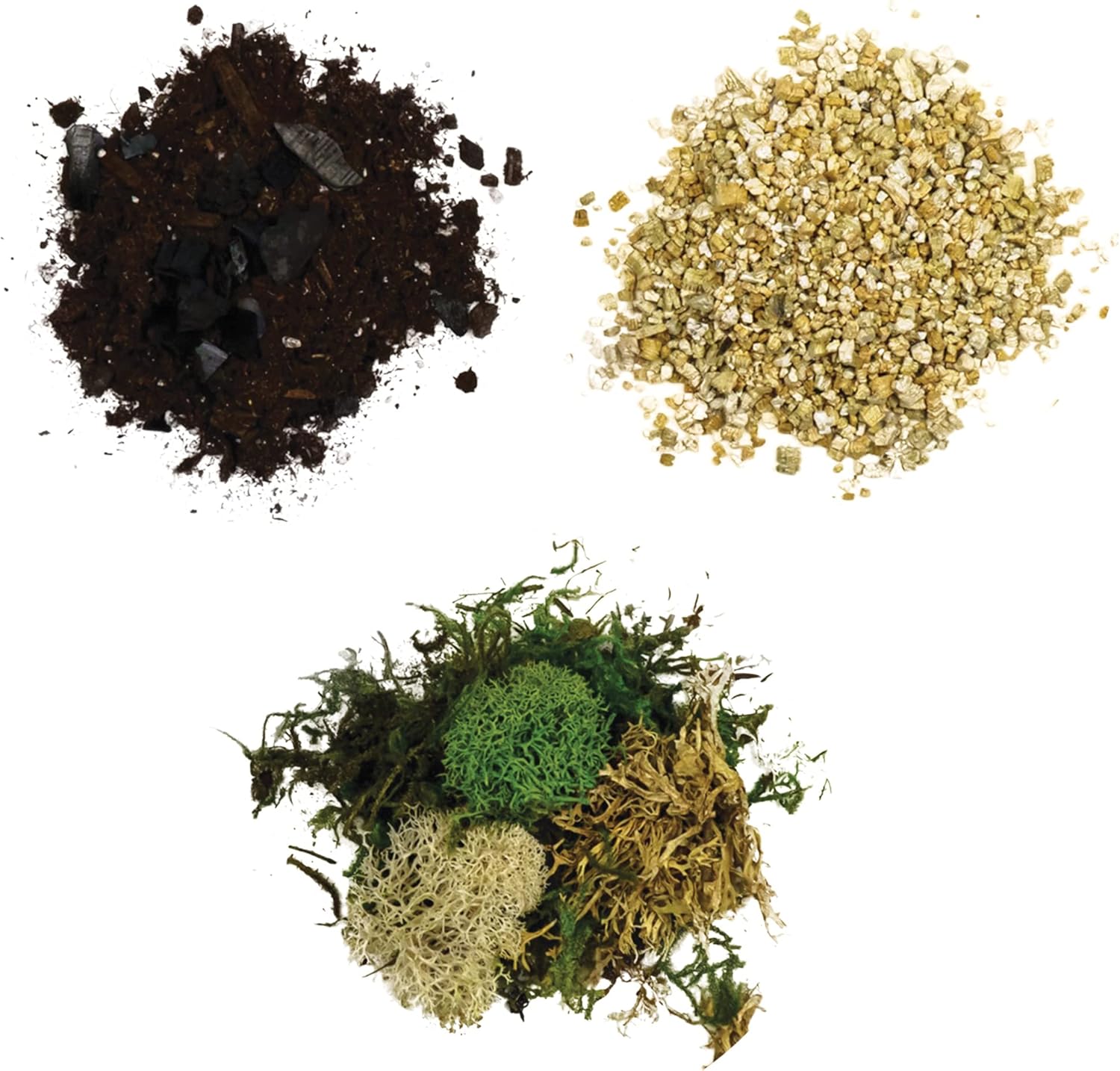 Cute Farms Kit de terrario de vidrio  Solo tienes que añadir tus propias plantas (dos cilindros de vidrio (3.25 pulgadas)