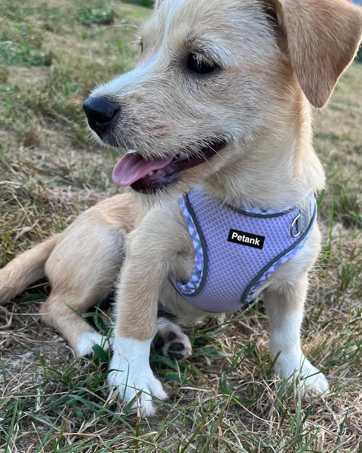 Petank Arnés para perros pequeños y medianos sin tirones, juego de arnés y correa para cachorro, arnés para perro fácil de caminar, correr,