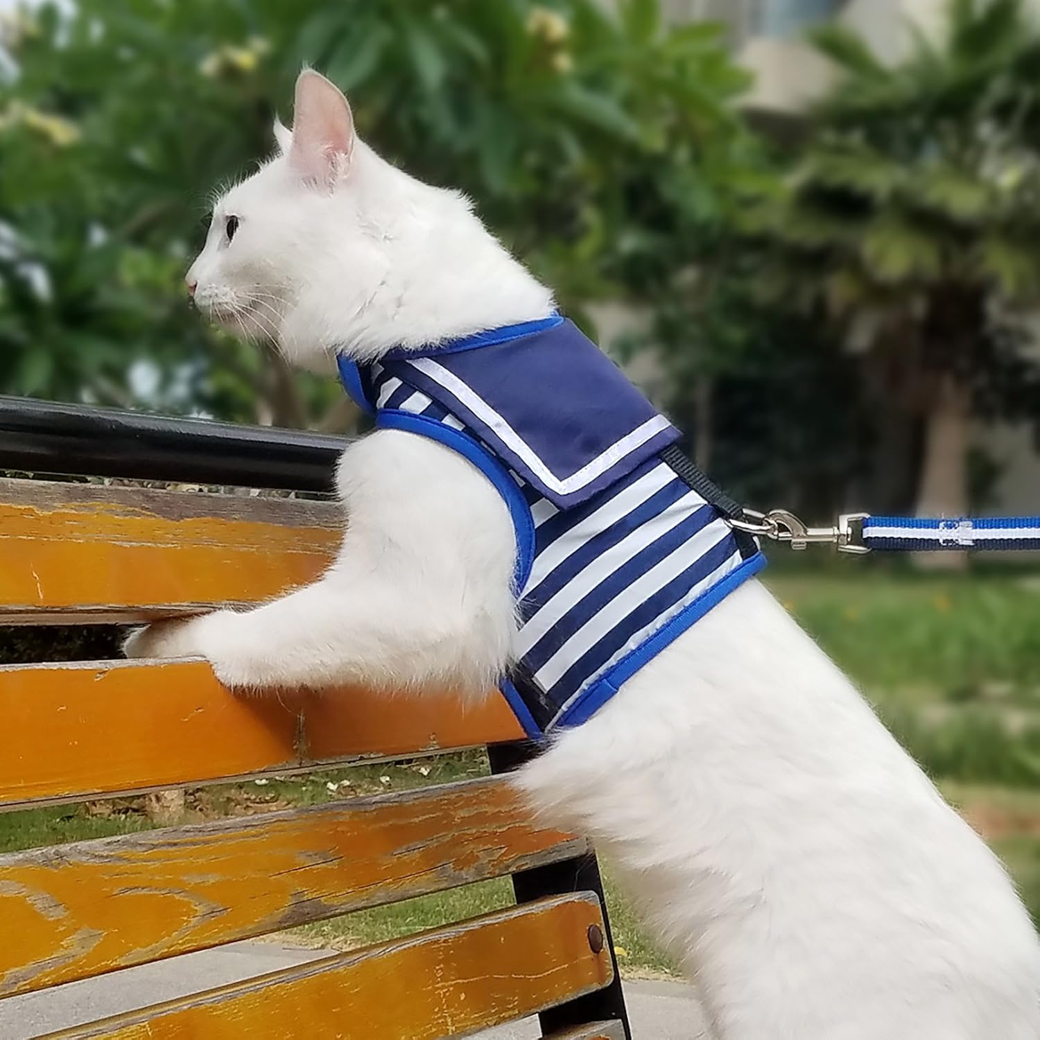 Arnés de gato con correa, ajustable para gatos, chaleco acolchado para gatos, Traje marinero azul marino