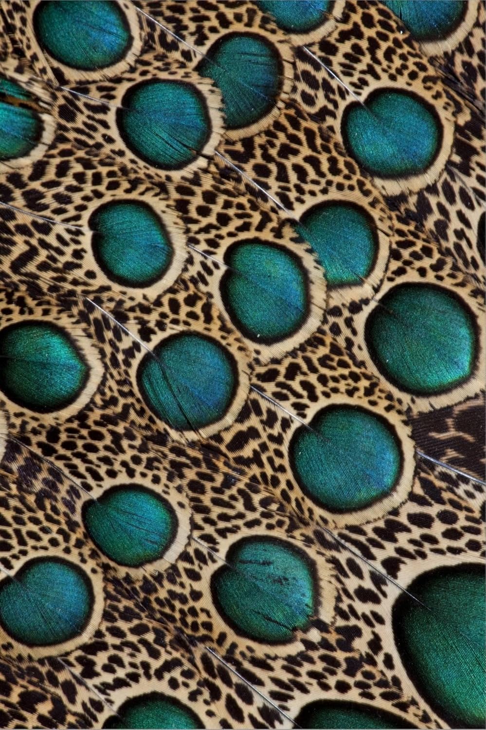 Darrell Gulin – Lienzo decorativo para pared, diseño de plumas de pavo real malayo con círculos azules, 12 x 18 pulgadas