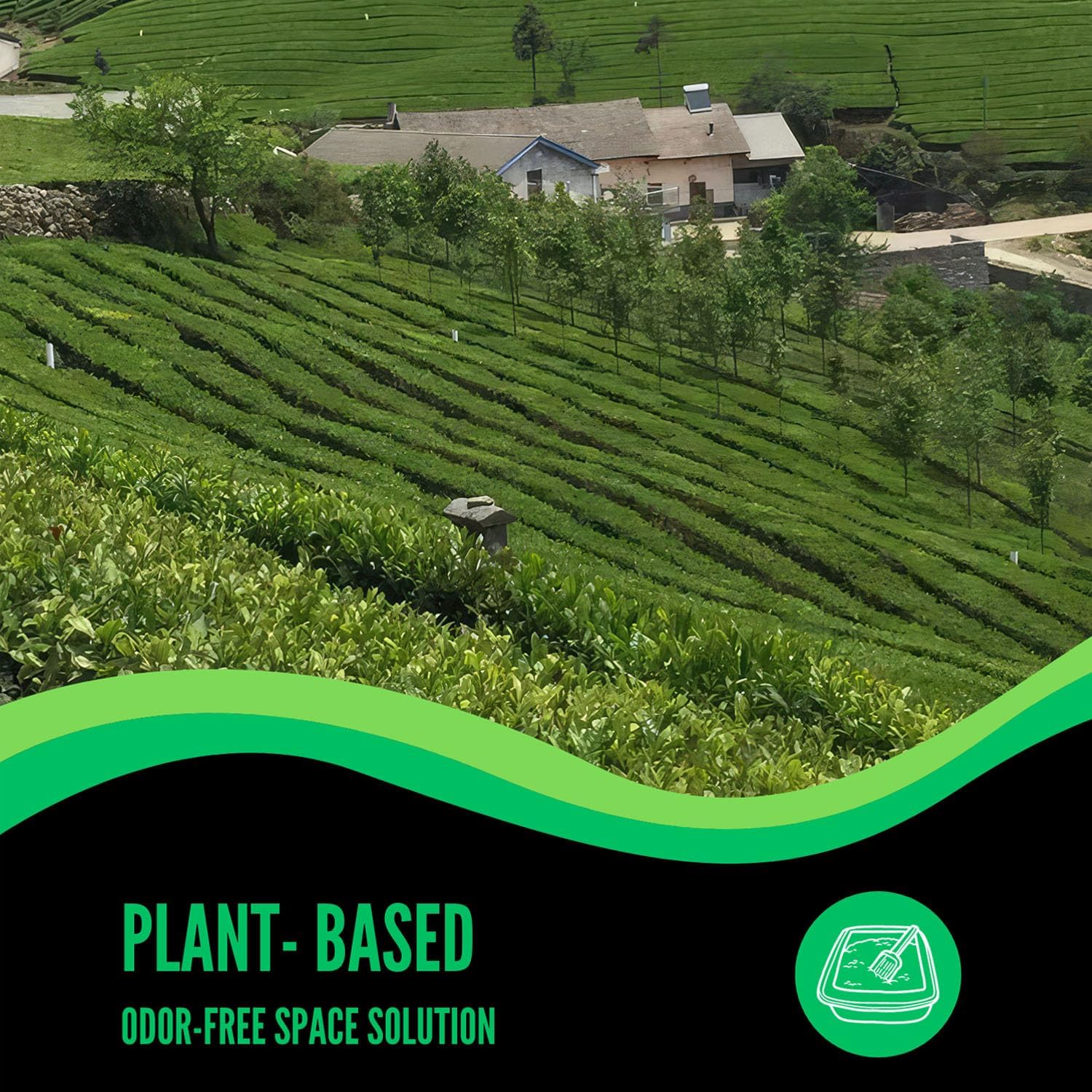 Desodorizador de arena para gatos, caja de arena para gatos, eliminador de orina de olores para mascotas para control de olores fuerte, removedor de