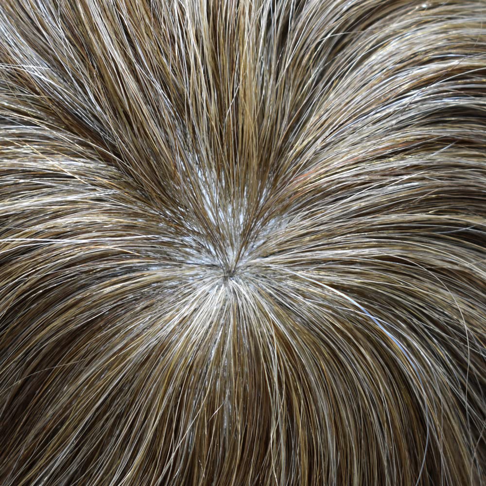 Healthlif Toupee – Piezas de cabello humano tipo tupé para hombres, sistema de reemplazo de cabello, extensiones capilares para hombres (8 x 10