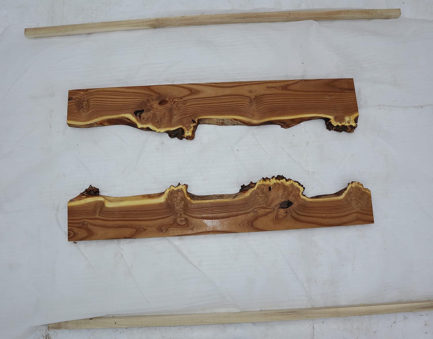 Live Edge – Losas semiprocesadas de madera de oliva rusa con borde vivo para proyectos de madera, estantes o mesas de café de río epoxi, etc. Set