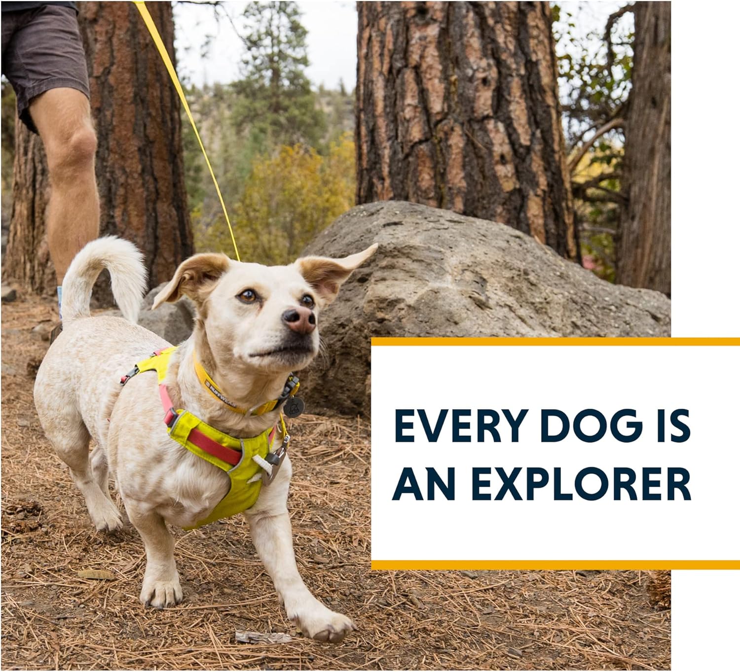 Ruffwear, Hi & Light – Correa para perro, correa ultraligera mínima para paseos y carreras diarios, 4.5 pies, rosa salmón
