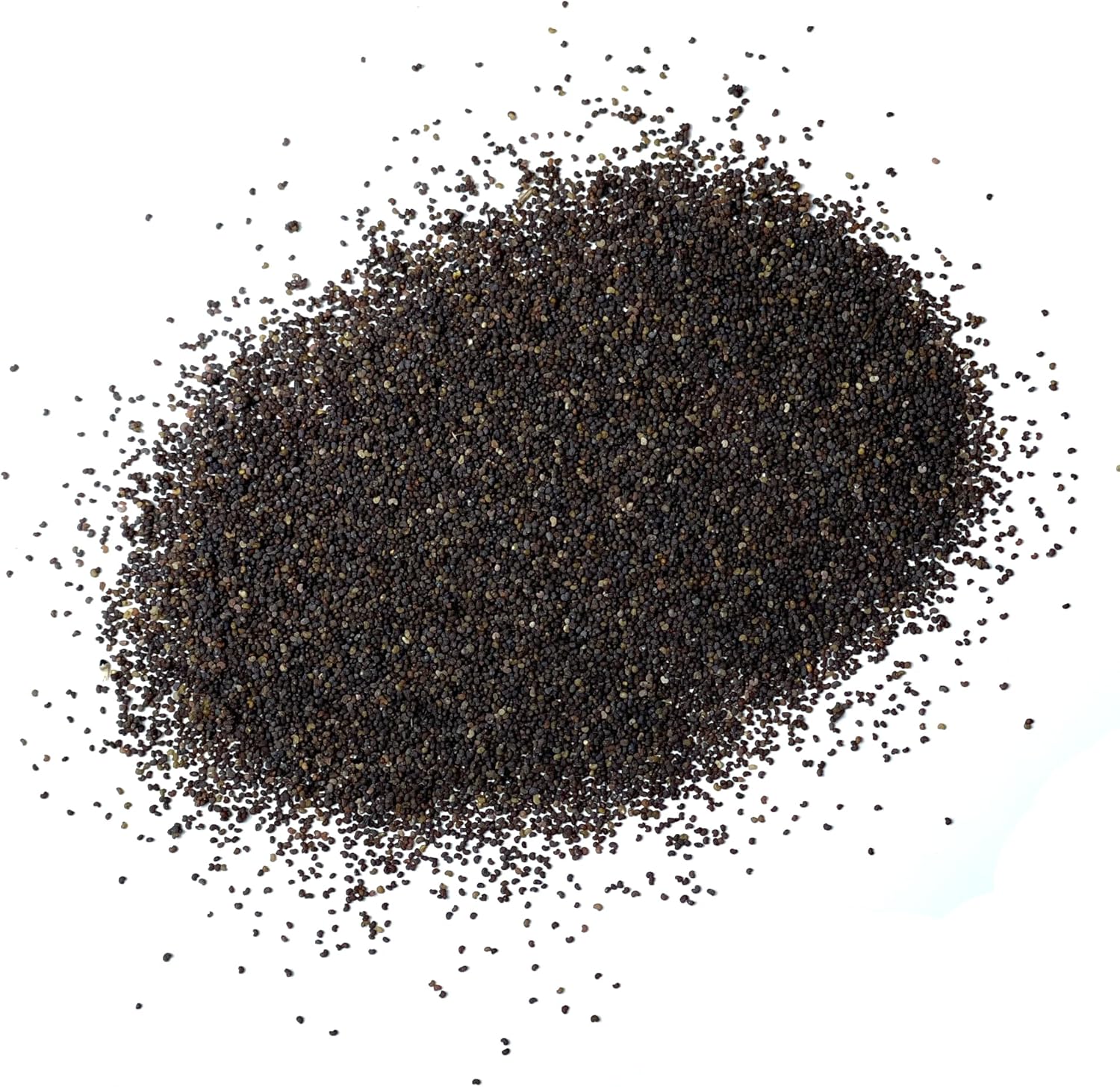 Seed Needs, Semillas de amapola roja  10,000 semillas tradicionales para plantar papaver rhoeas  Amapola de maíz anual que atrae mariposas al jardín