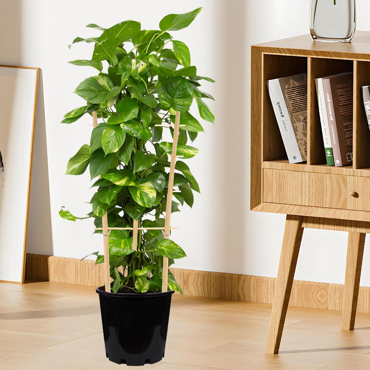 Enrejado de bambú para plantas trepadoras de 16 pulgadas, paquete de 12 entramados de bambú natural en forma de abanico, mini soporte de madera para