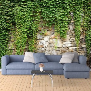 wall26 Mural de pared Las exuberantes plantas en pared de ladrillo antiguo, papel tapiz autoadhesivo grande extraíble – 100×144 pulgadas wall26 Mural de pared Las exuberantes plantas en pared de ladrillo antiguo, papel tapiz autoadhesivo grande extraíble – 100×144 pulgadas