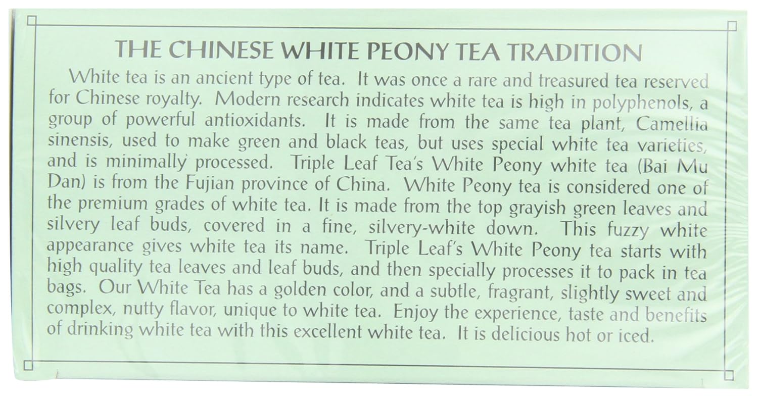 Triple Leaf Té, peonía blanca, 20 bolsas de té (paquete de 6)