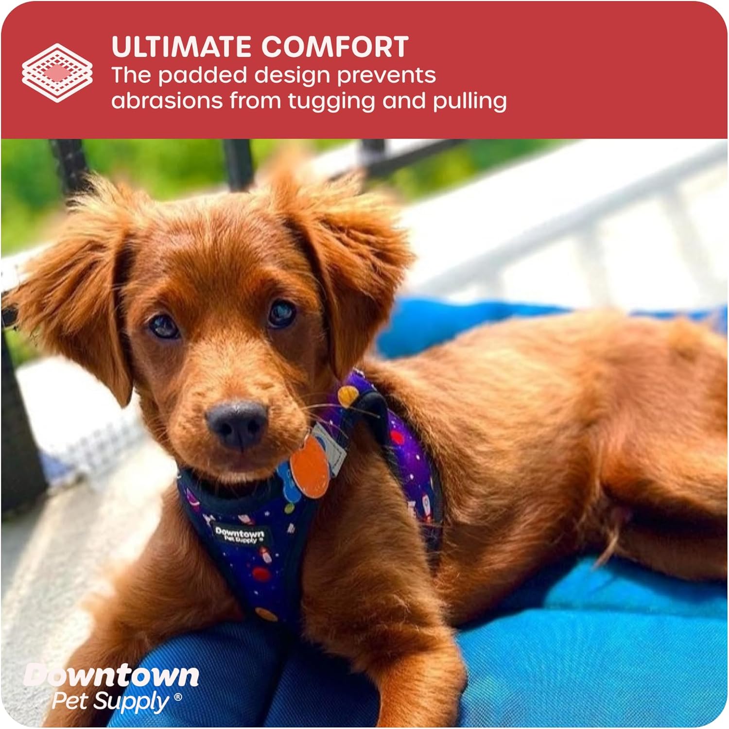 Downtown Pet Supply – Arnés ajustable para perros pequeños, antitirones, XS, diseño espacial, tela de malla acolchada y borde reflejante, arnés de