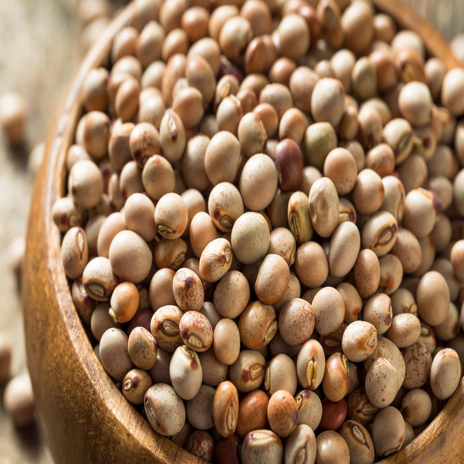 Más de 20 semillas de leguminosas raras de alta calidad de guisantes de paloma (Cajanus Cajanan), semillas de vegetales frescos tradicionales y sin