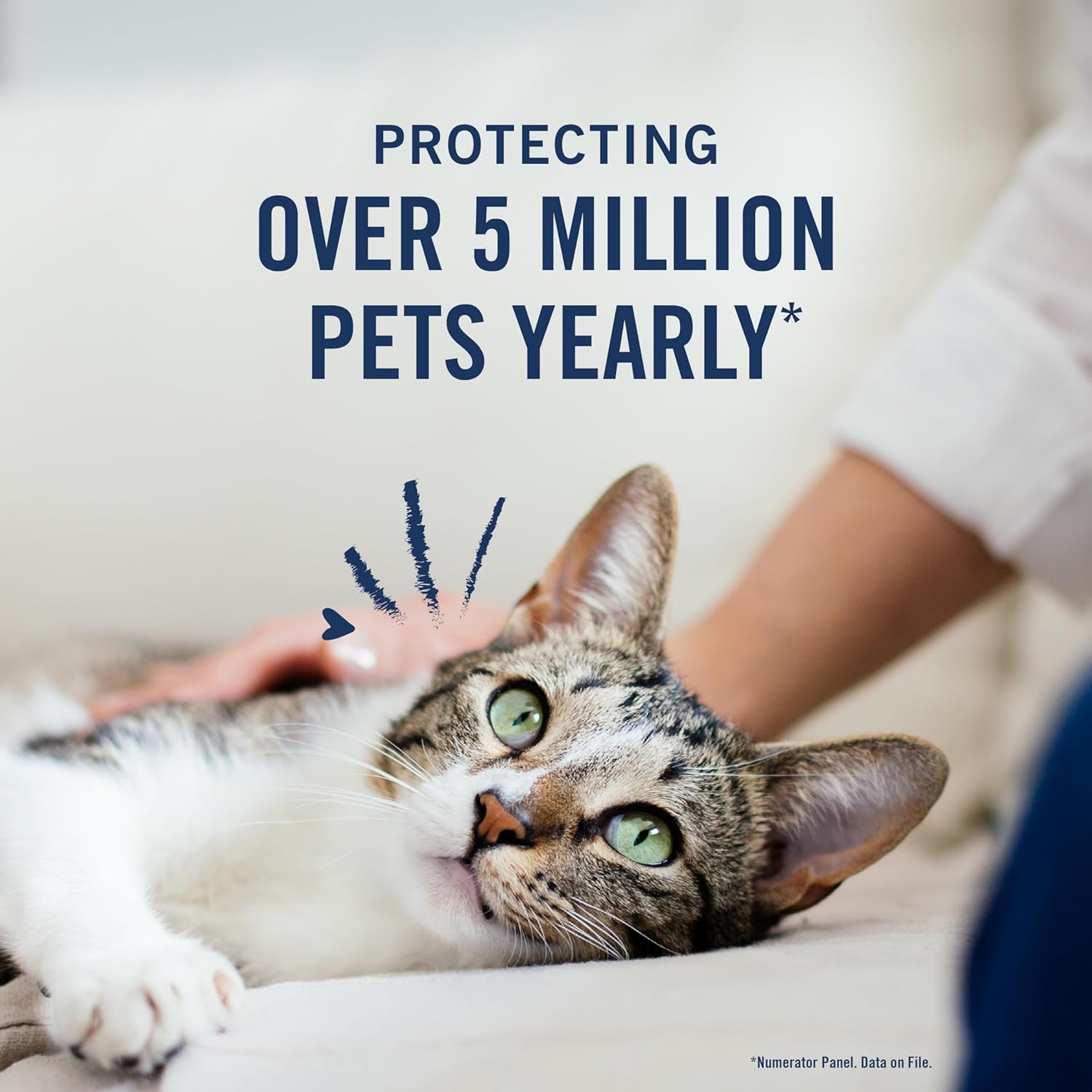 PetArmor Además de prevención de pulgas y garrapatas para gatos, tratamiento de pulgas y garrapatas de gato, 1 dosis, tópico impermeable, acción
