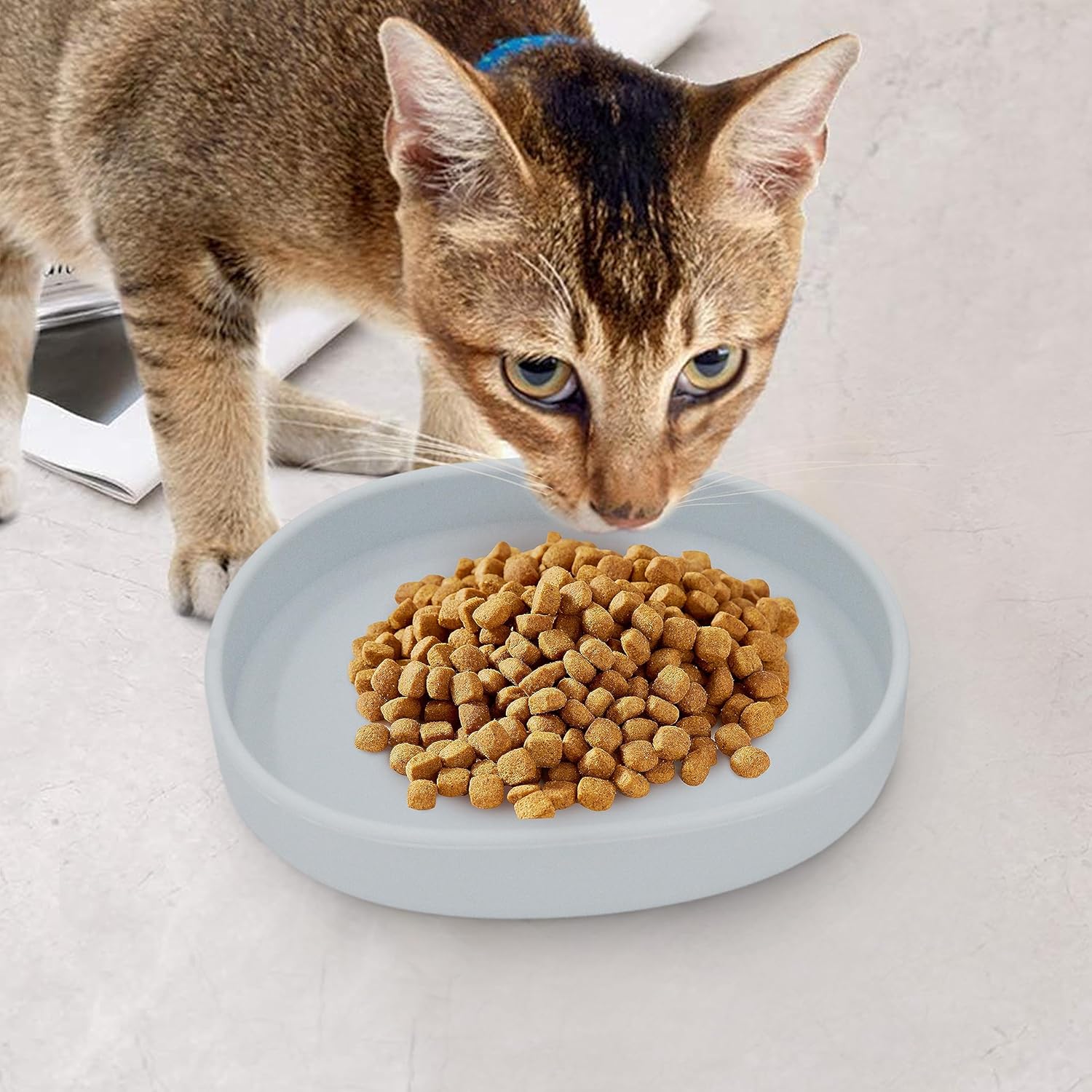 bebeibon Cuencos de silicona para perros, cuencos antideslizantes para comida para perros, cuencos para alimentación de gatos, cuenco para mascotas