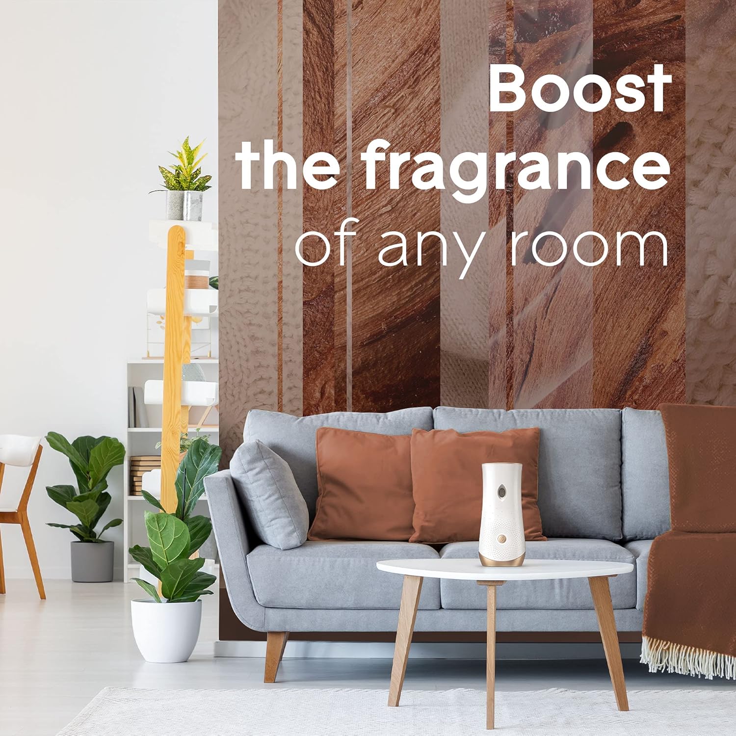 Glade Recambio automático en aerosol, ambientador para el hogar y el baño, maderas de cachemira, 6.2 onzas (paquete de 2)
