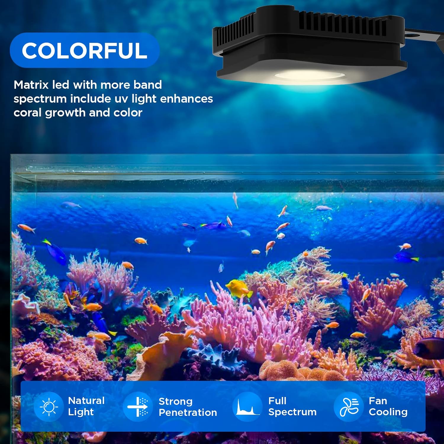 Lominie Luz LED para acuario, luz de espectro completo, luz plantada de agua salada, cuello de cisne ajustable para tanques de peces de coral de