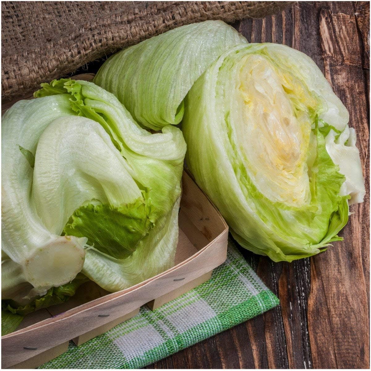Semillas Vegetales Crisphead Lechuga Iceberg Hoja Crujiente Heirloom para Ensaladas – 1000 Semillas