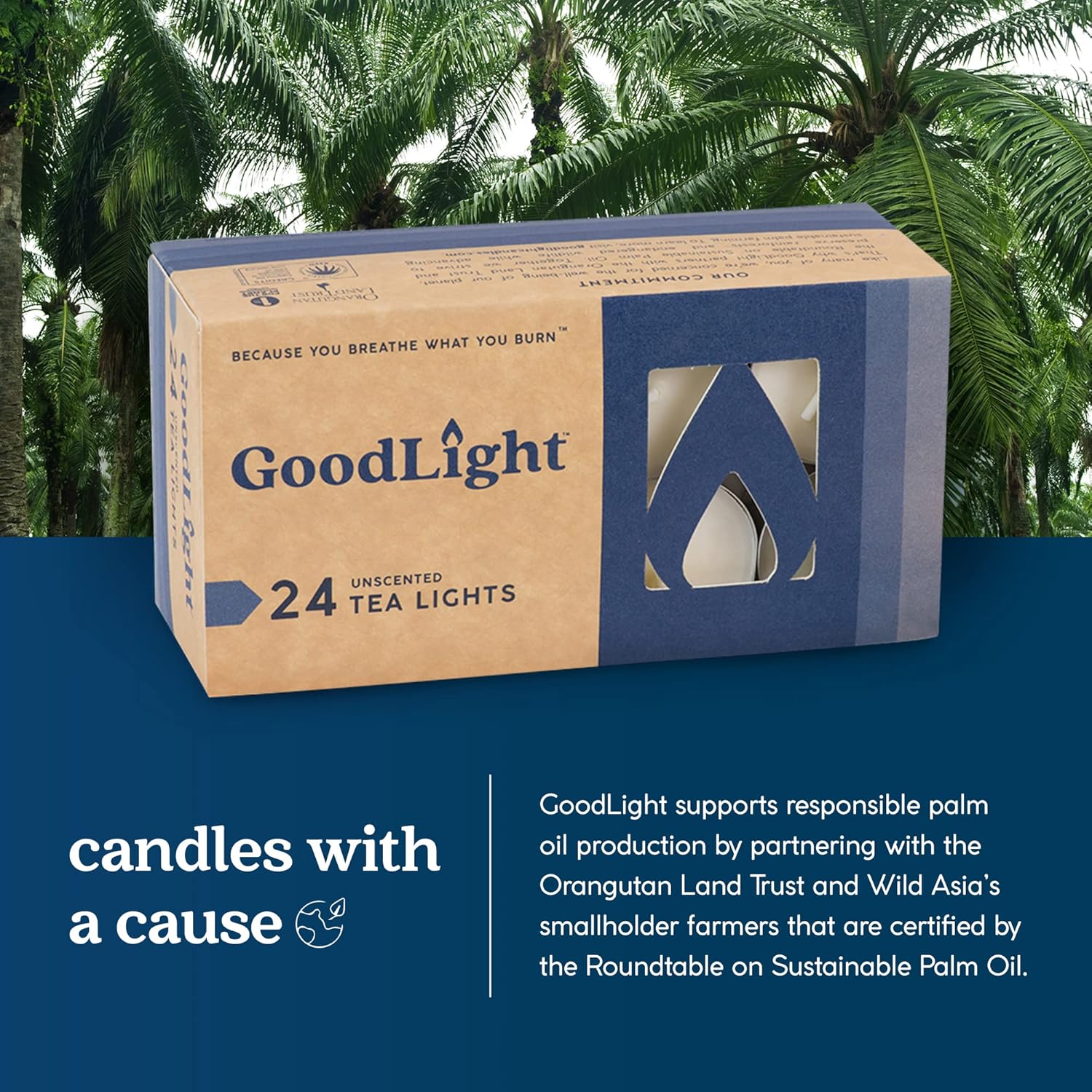 velas de té sin parafina