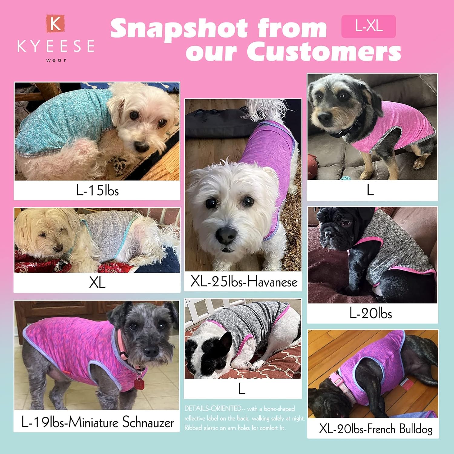 KYEESE Paquete de 2 camisas para perro, de secado rápido, suaves, elásticas, con etiqueta reflectante, camiseta sin mangas, chaleco de protección