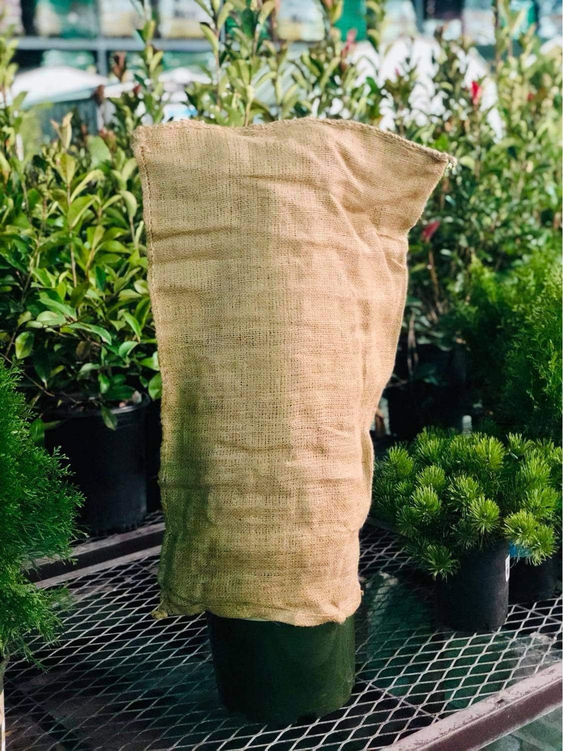 Bolsas de arpillera Sacos de patata 18″ x 30″ (4PACK) Bolsas de cultivo para césped y jardinería – Se envía desde Estados Unidos