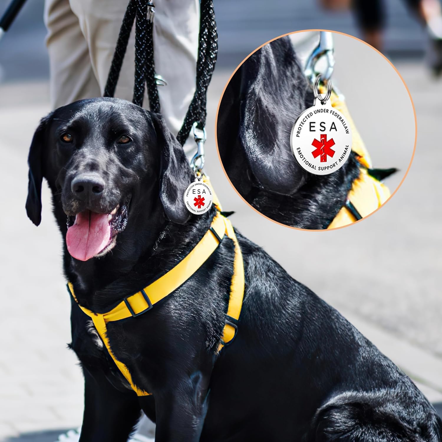 Placa para perro de servicio, etiquetas de perro GISUERY grabadas para mascotas con 4 líneas personalizadas, se fija fácilmente al arnés del chaleco