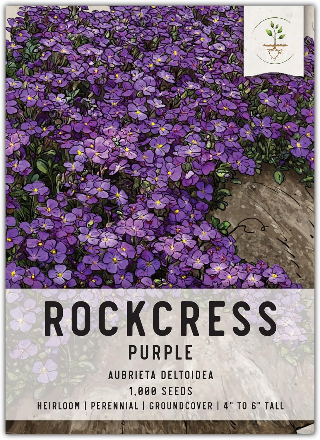 Seed Needs, Purple Rockcress Seeds  1000 semillas de reliquia para plantar Aubrieta deltoidea  Flor perenne ideal para jardines de rocas, cubierta