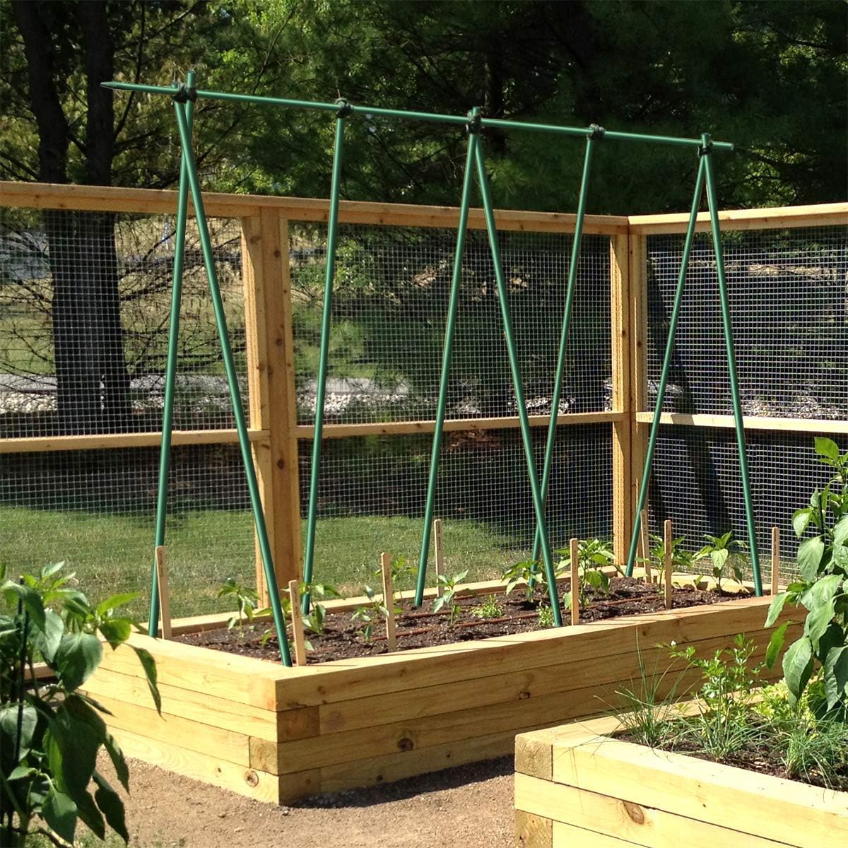 Estacas de jardín de 5 pies para plantas trepadoras, soporte para poste, paquete de 10 palos de plantas inoxidables para postes de valla