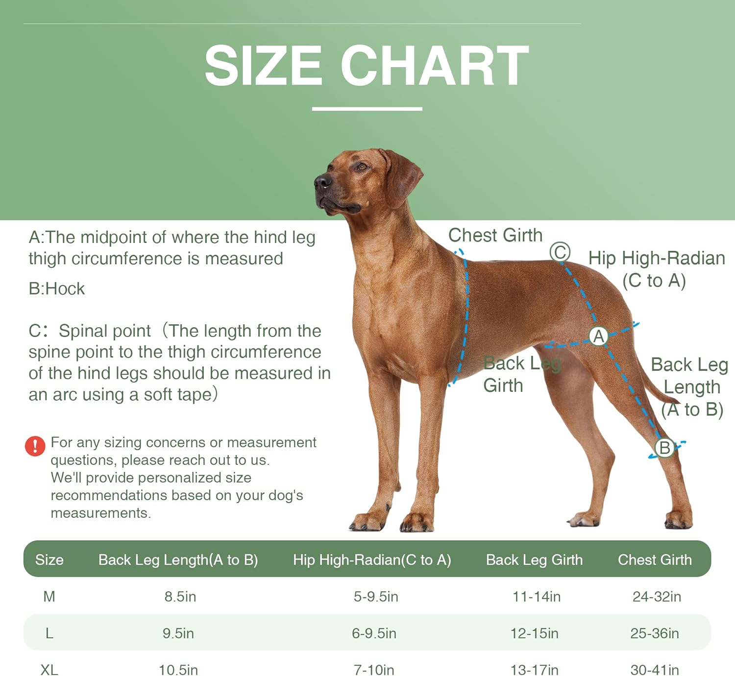 LISPOO – Rodillera para perro para pierna trasera desgarrada, rótula luxante, ligamento cruzado, rodillera para perro Acl soporte de pierna trasera