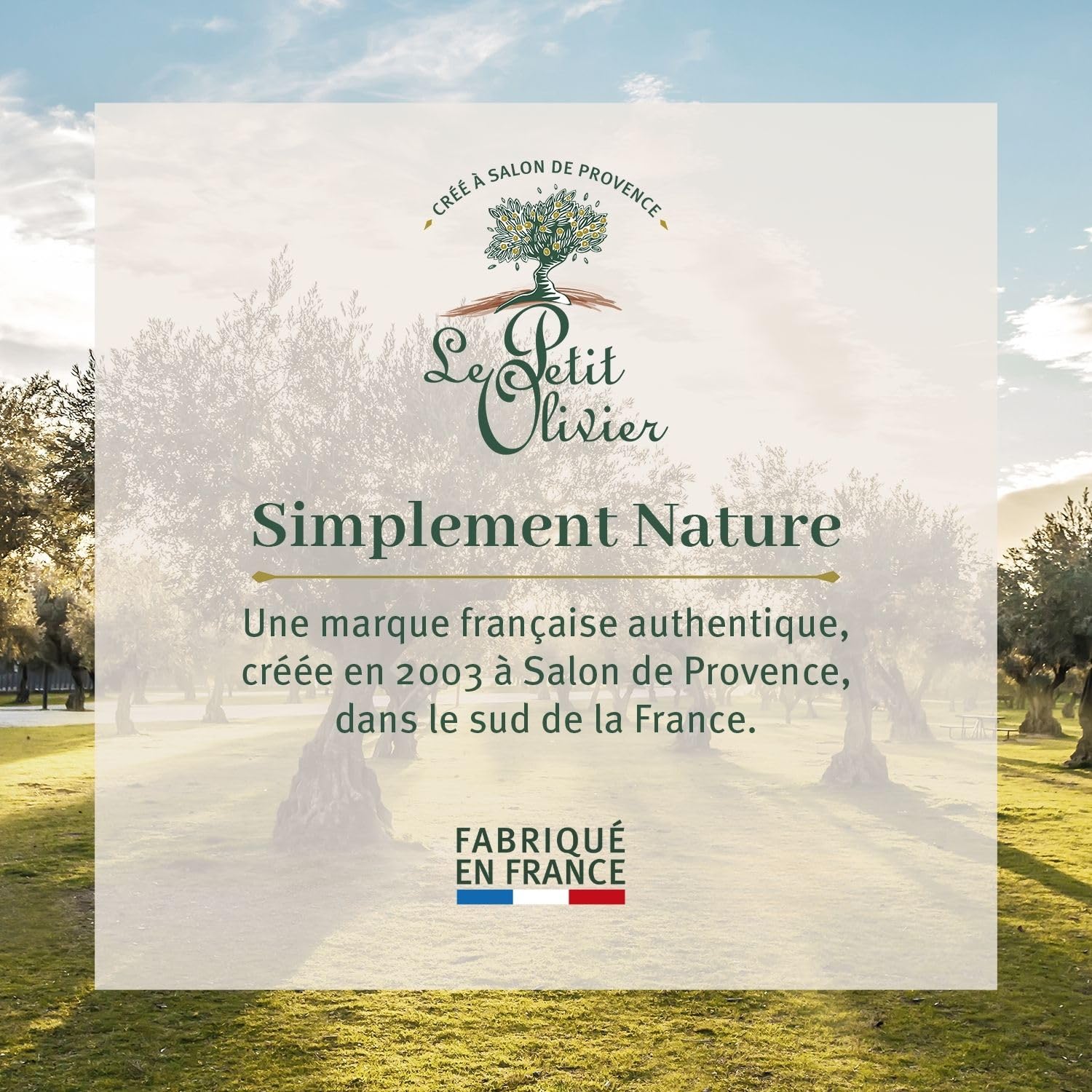 Le Petit Olivier Champú Micelar Purificante – Aloe Vera y té verde – Limpia el cabello – Reduce el exceso de sebo – Adecuado para cabello normal a
