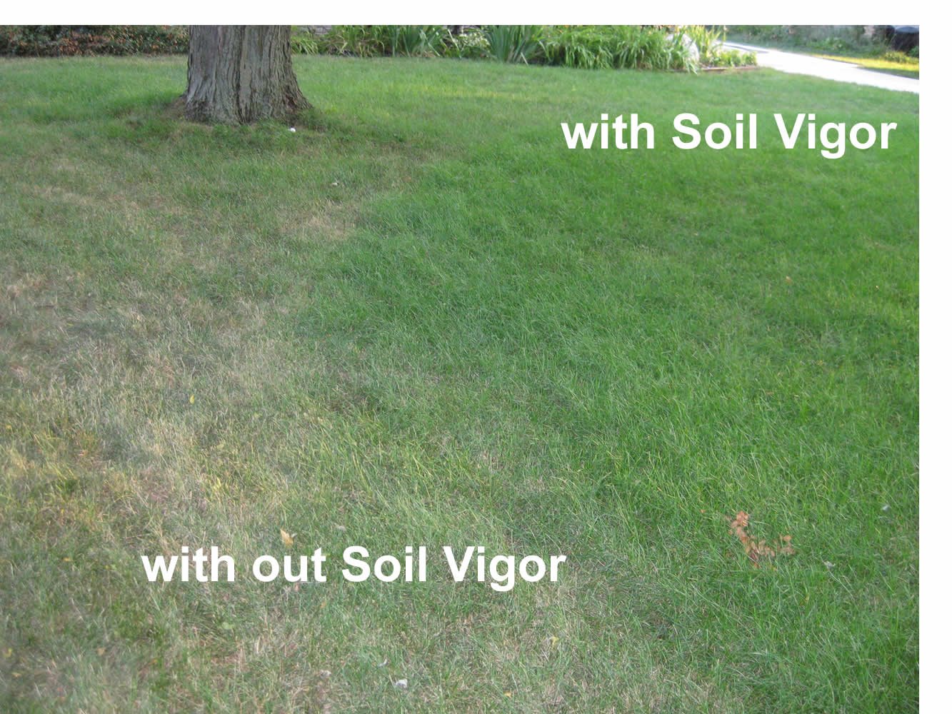 Trampa de humedad del suelo de 1 libra de potasio súper absorbente de polímero de gránulos de hidrogel Soil Vigor