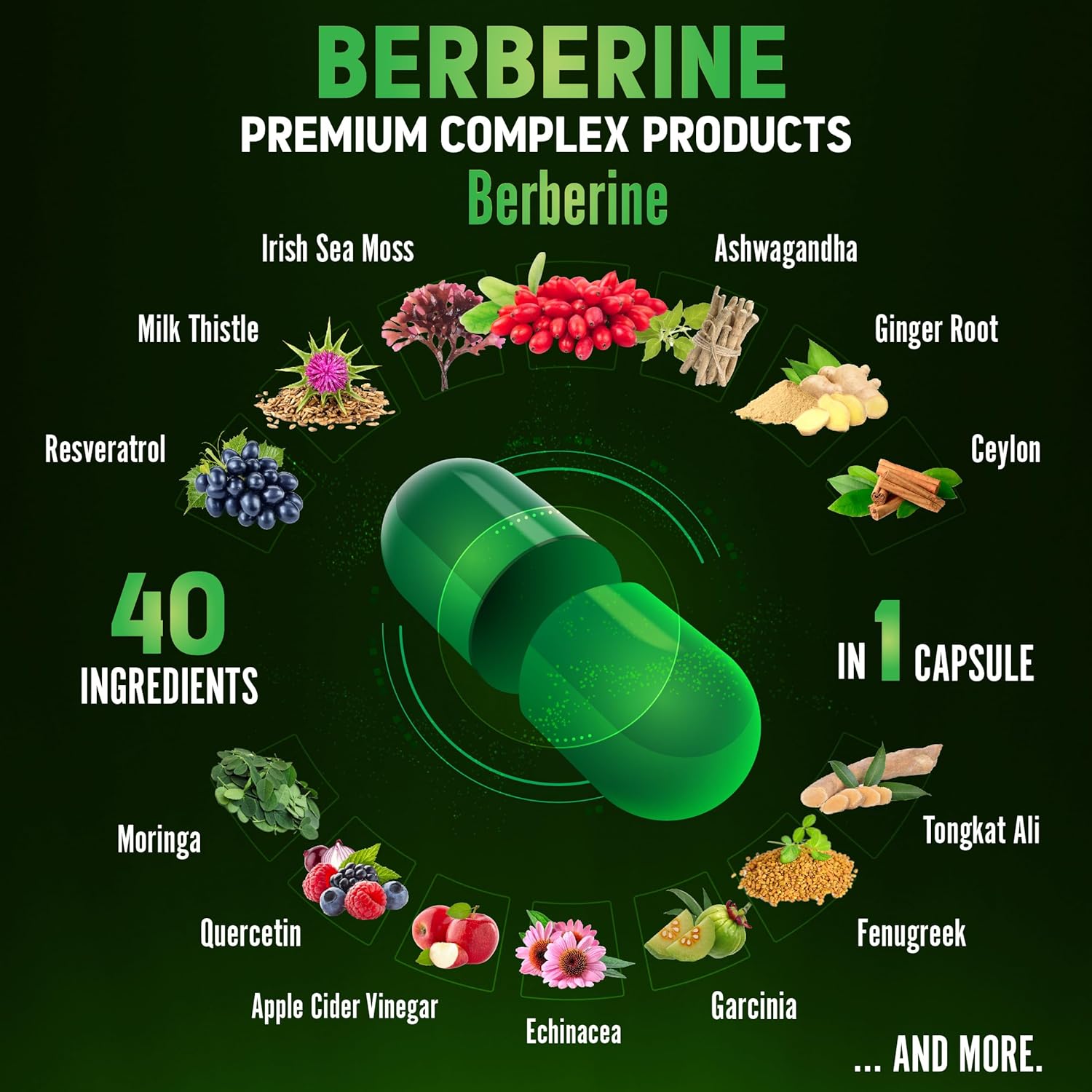 Zolotus Suplemento de berberina de 18800 mg 40 en 1, con musgo marino, canela, cardo mariano, vinagre de sidra de manzana, quercetina, el mejor