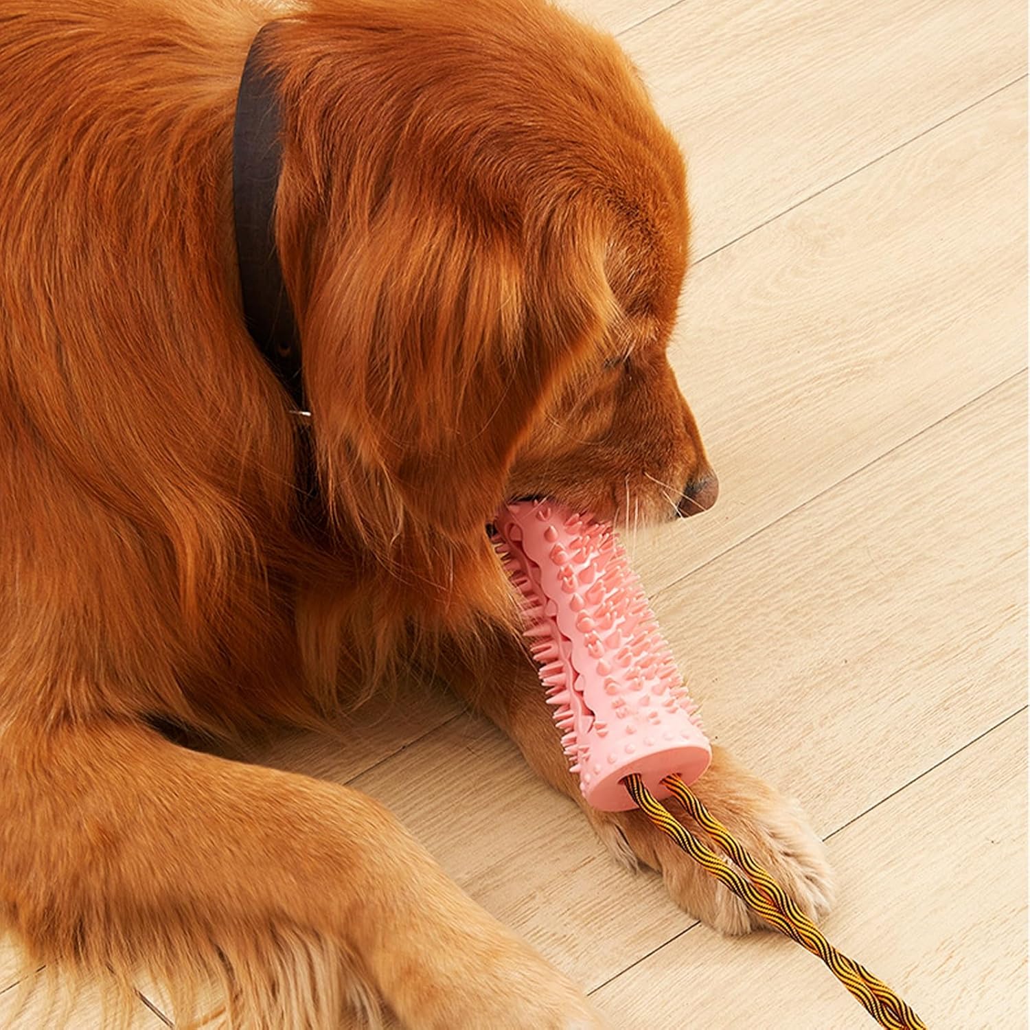 Bola de cuerda para perro, juguete interactivo de tira y afloja, aburrimiento y estimulante con ventosa, juguete para perros masticadores agresivos,