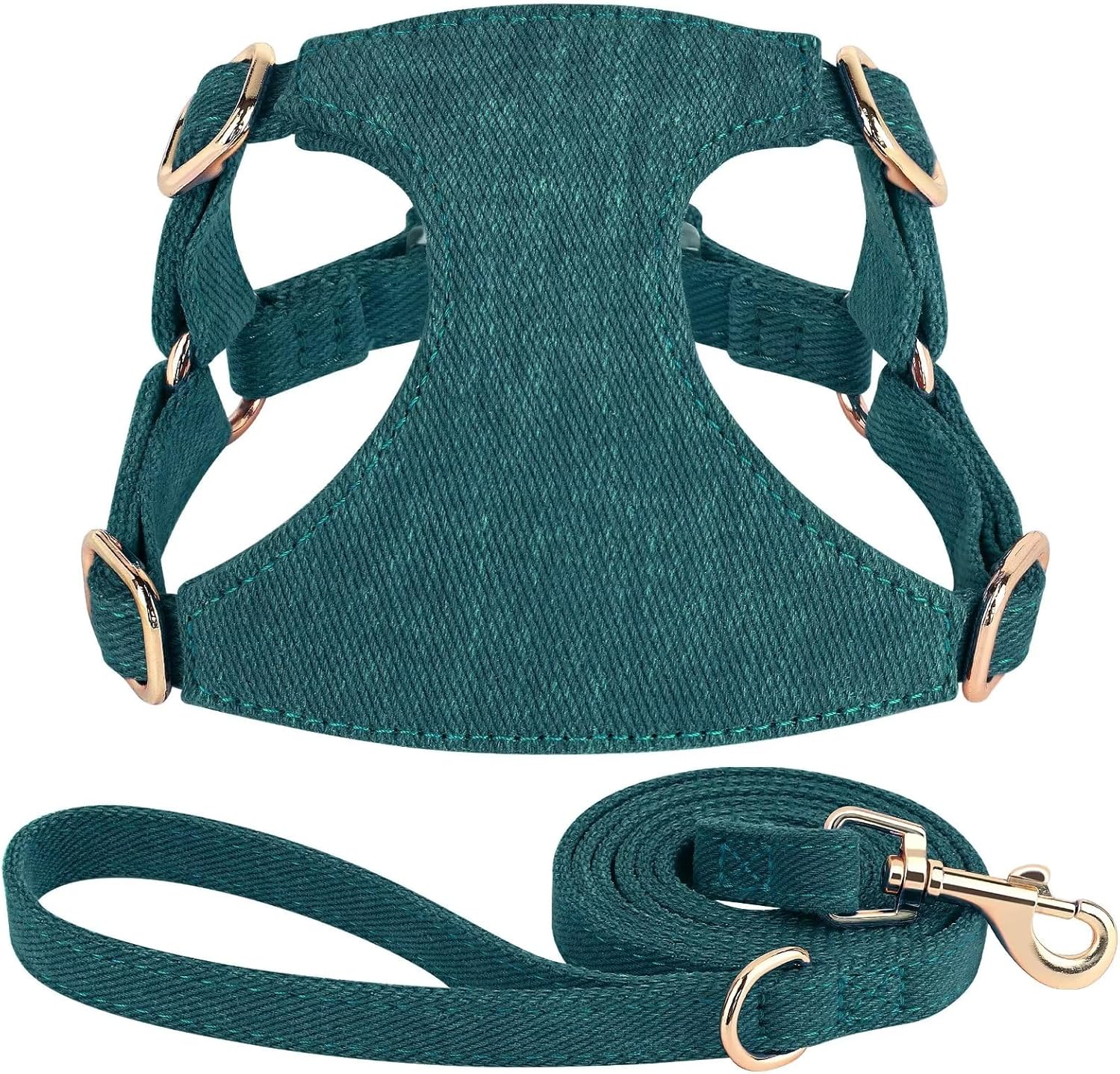 Didog Juego de arnés y correa para perro pequeño, suave y lindo arnés para perros pequeños, arnés ajustable para perros pequeños, arnés para perros