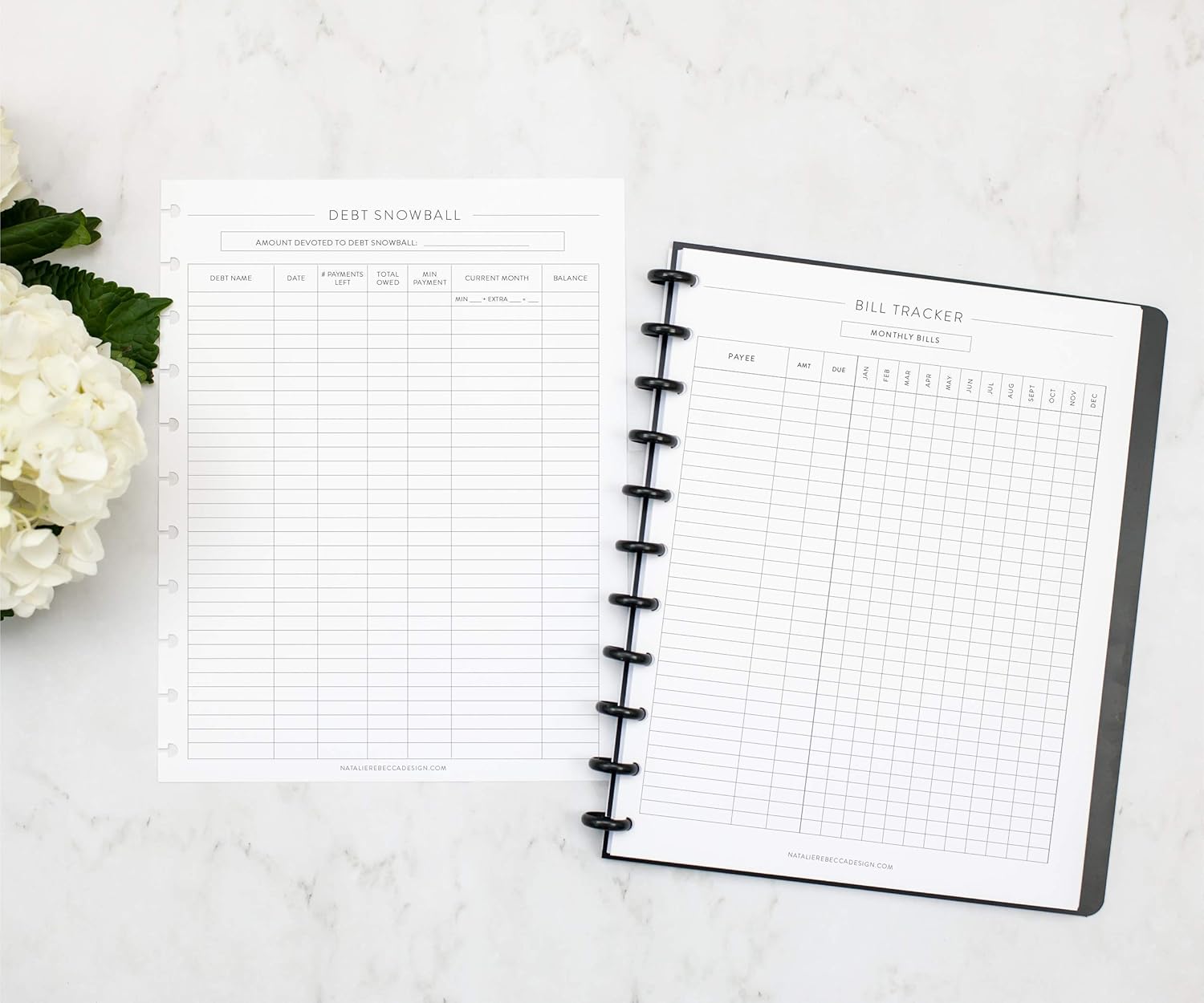 BetterNote Finance Plan Refill for Discbound Notebooks, Bill, Account, Expense, Budget, Fits Levenger Circa, The Happy Planner, Arc Systems, TUL,