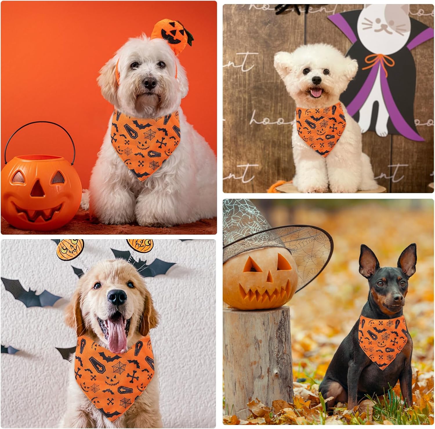 Bandana de Halloween para perro con patrón de arañas murciélagos, cómoda bufanda triangular de algodón para cachorros y perros pequeños, pañuelo