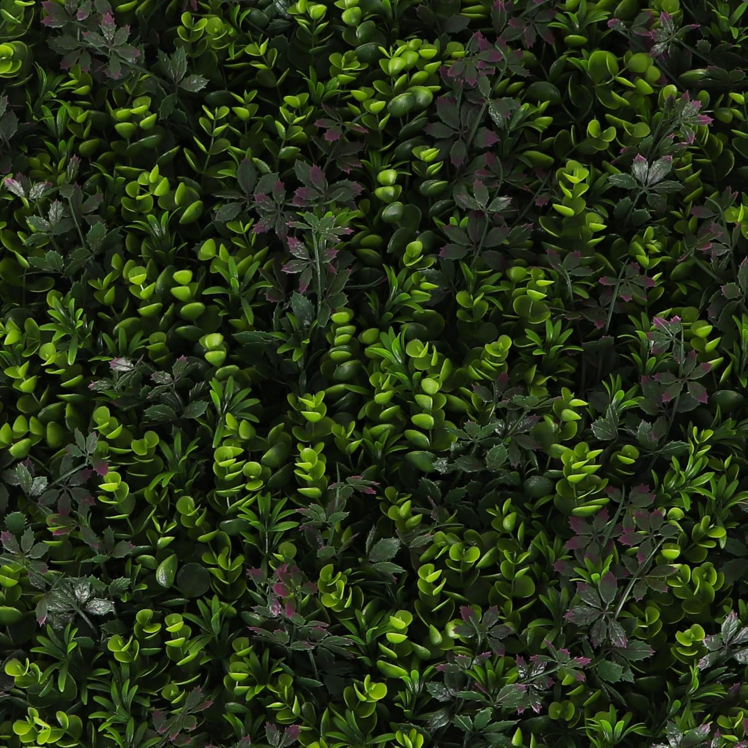 3rd Street Inn Panel de vegetación  Pared de seto artificial  Fondo de pared de plantas falsas  Pantalla de privacidad  Paneles entrelazados