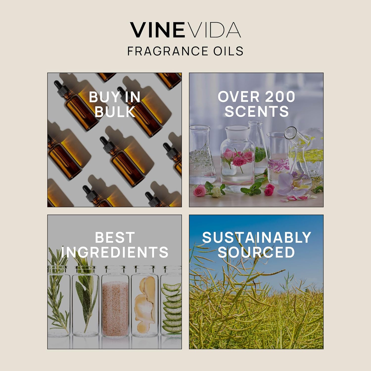 VINEVIDA 4 onzas Aceite de fragancia de cachemira brillante para hacer jabón, aromas para hacer velas, aceites de perfume, velas de soja, bombas de