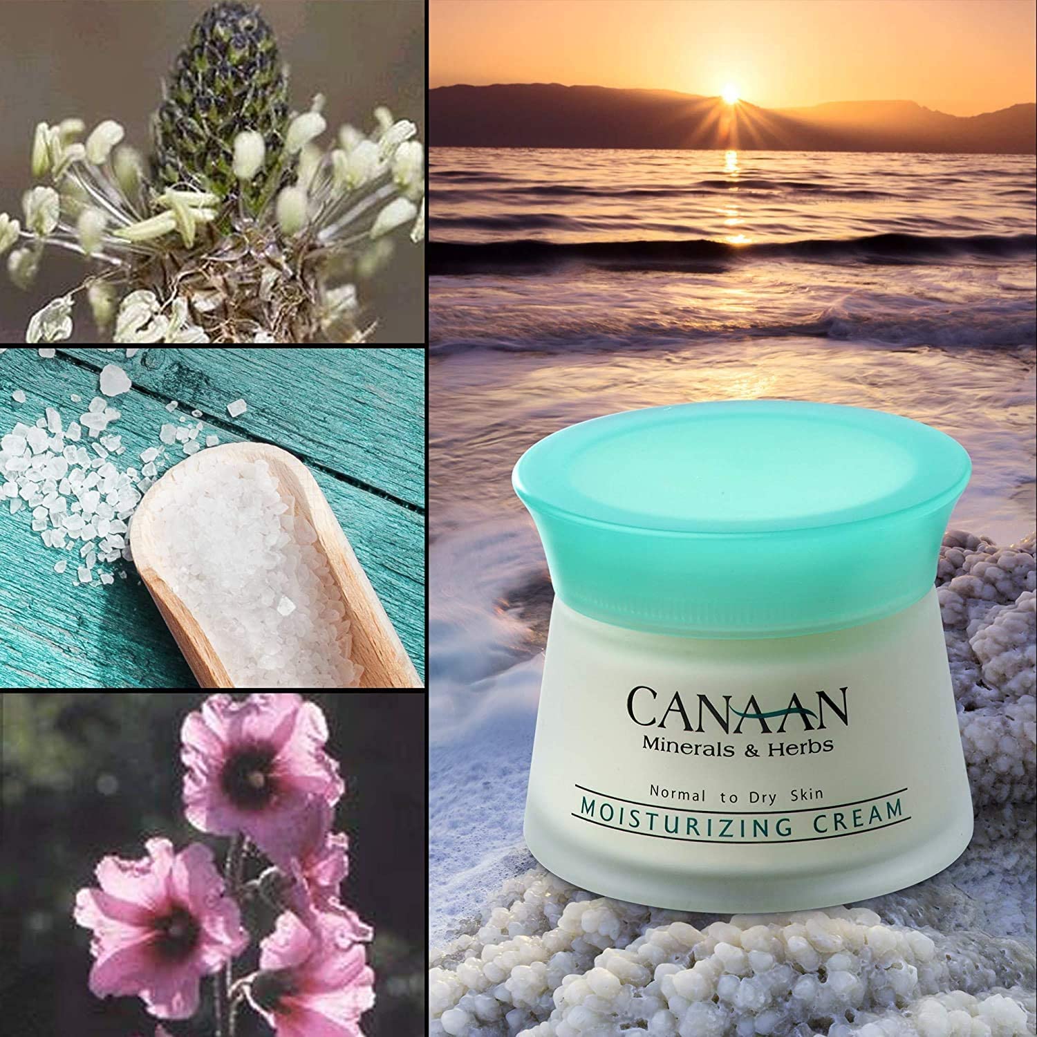 CANAAN minerales & Hierbas del Mar Muerto moisturzing Crema 1,7oz.