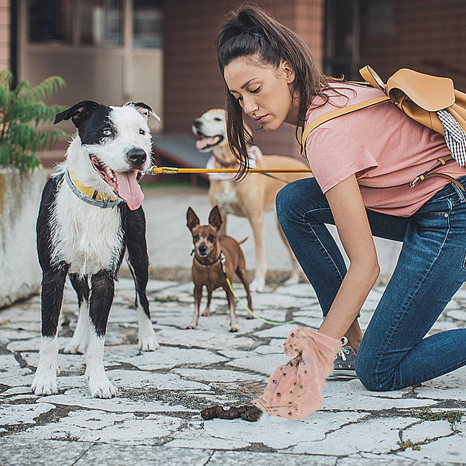 Katoggy Bolsas para excrementos de perro, 8 rollos, 120 unidades, 9 x 13 pulgadas con dispensador, extra gruesas, a prueba de fugas, bolsas